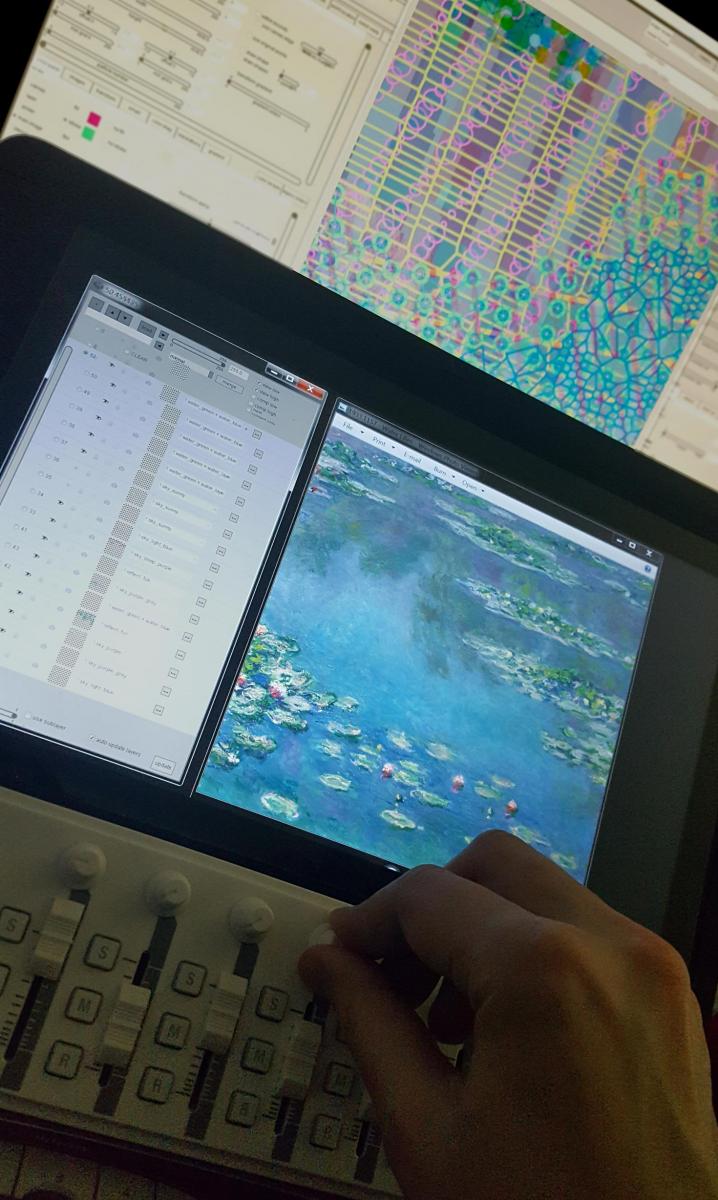 Work in progress - the artist adjusting variables within their custom software while referencing a public domain photo of Water Lilies by Claude Monet.