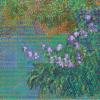 Irises after Claude Monet