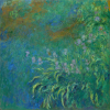 Irises after Claude Monet